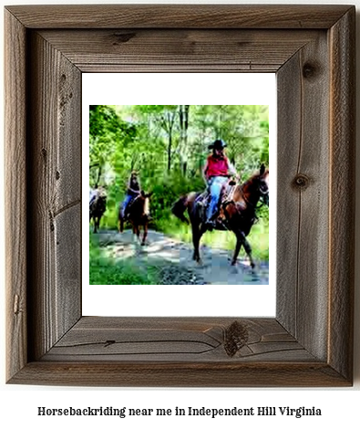 horseback riding near me in Independent Hill, Virginia